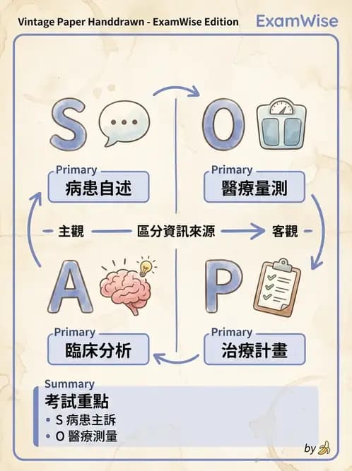 營養 - 營養評估與照護程序 - AI 圖文解析預覽