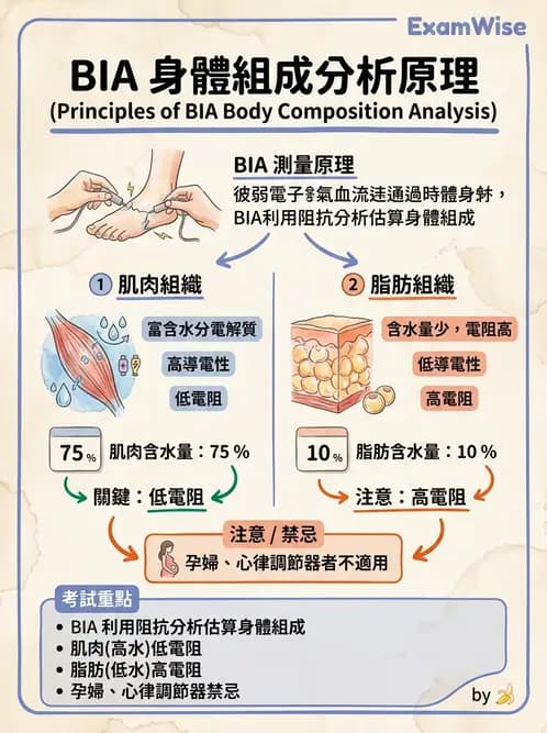 營養 - 營養評估與照護程序 - AI 圖文解析預覽