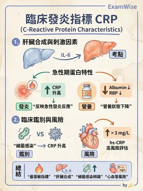 營養 - 營養評估與照護程序 - AI 圖文解析預覽
