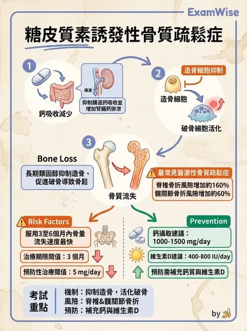 營養 - 藥物與營養素交互作用 - AI 圖文解析預覽