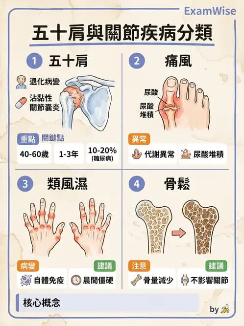 營養 - 骨骼與關節疾病 - AI 圖文解析預覽