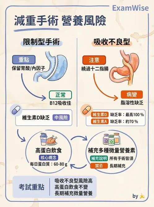 營養 - 體重管理與攝食異常 - AI 圖文解析預覽
