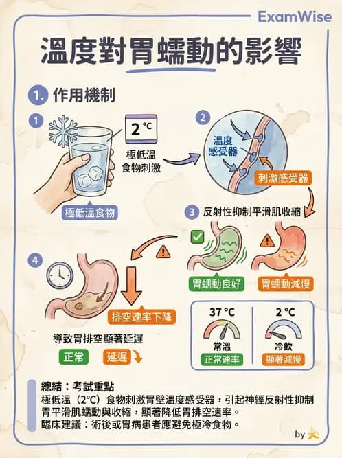 營養 - 腸胃道疾病 - AI 圖文解析預覽