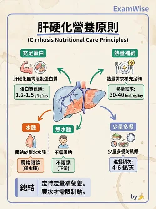 營養 - 肝膽疾病 - AI 圖文解析預覽
