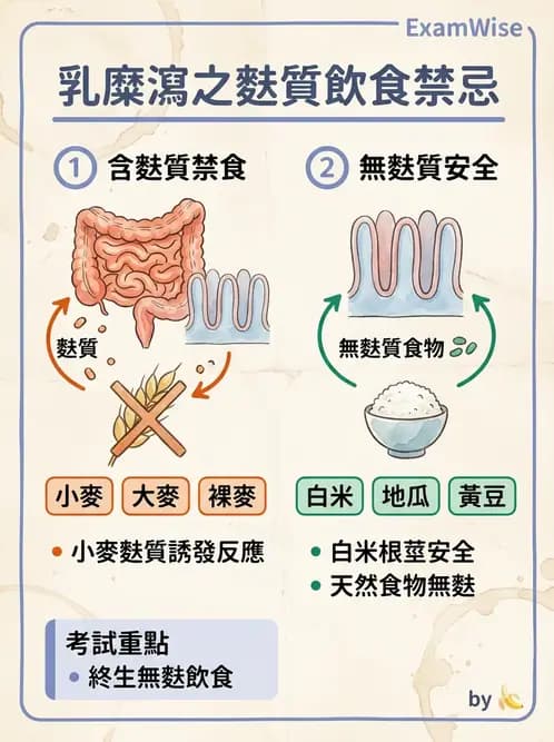 營養 - 腸胃道疾病 - AI 圖文解析預覽