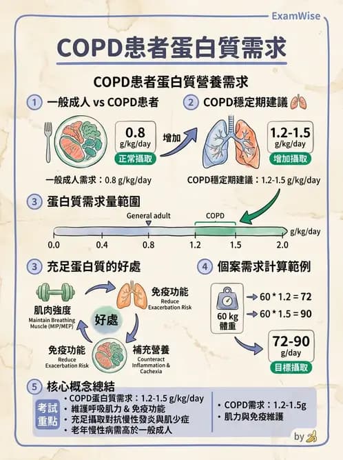 營養 - 呼吸系統疾病 - AI 圖文解析預覽