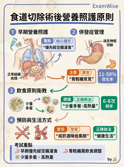 營養 - 癌症營養 - AI 圖文解析預覽