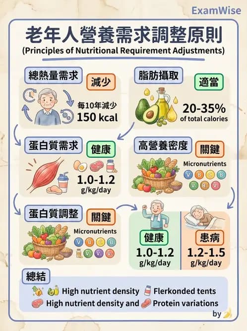 營養 - 老人營養與長期照護 - AI 圖文解析預覽