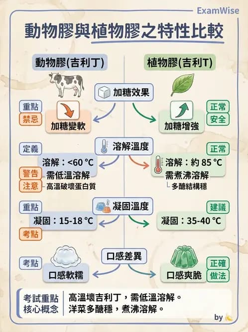 營養 - 動植物性食材製備原理 - AI 圖文解析預覽