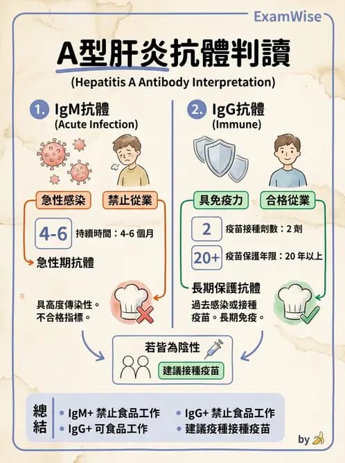 營養 - 食品安全衛生管理 - AI 圖文解析預覽