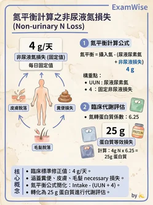 營養 - 生化指標與營養缺乏 - AI 圖文解析預覽
