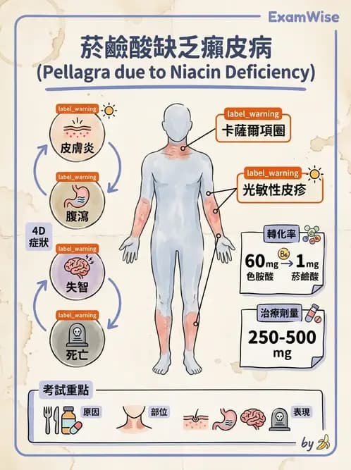 營養 - 生化指標與營養缺乏 - AI 圖文解析預覽