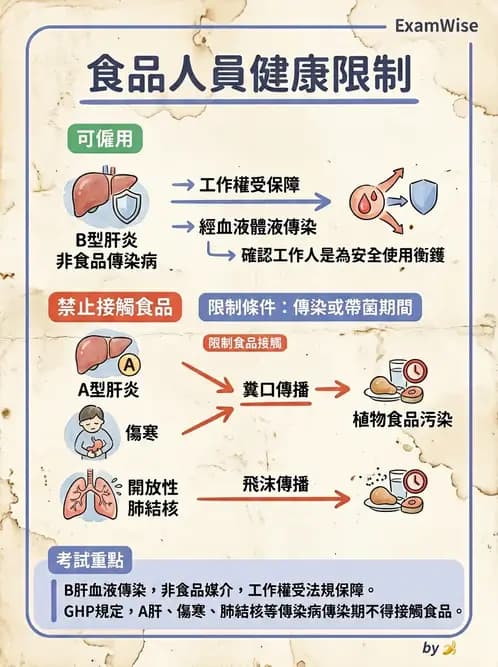 營養 - 餐飲人員衛生與操作規範 - AI 圖文解析預覽