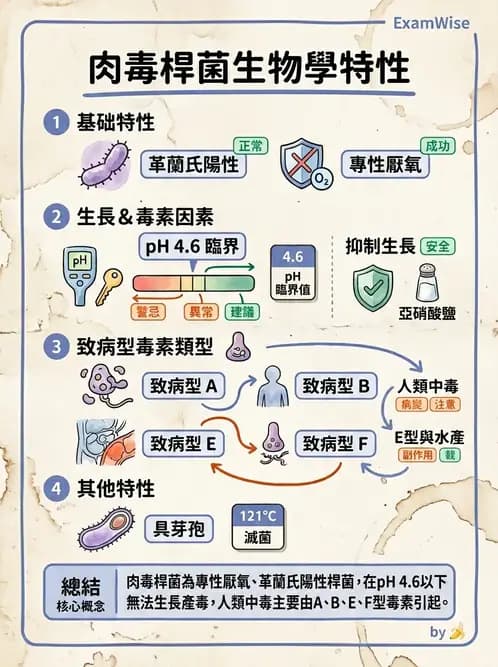 營養 - 食源性病原微生物 - AI 圖文解析預覽