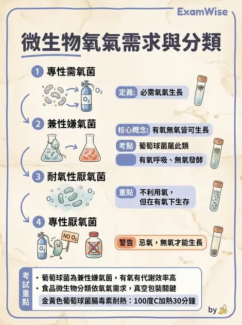 營養 - 食源性病原微生物 - AI 圖文解析預覽