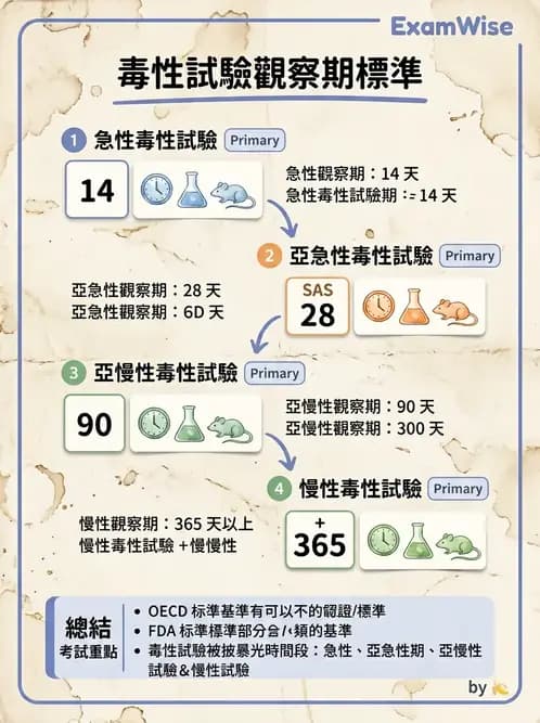營養 - 食品安全性評估 - AI 圖文解析預覽