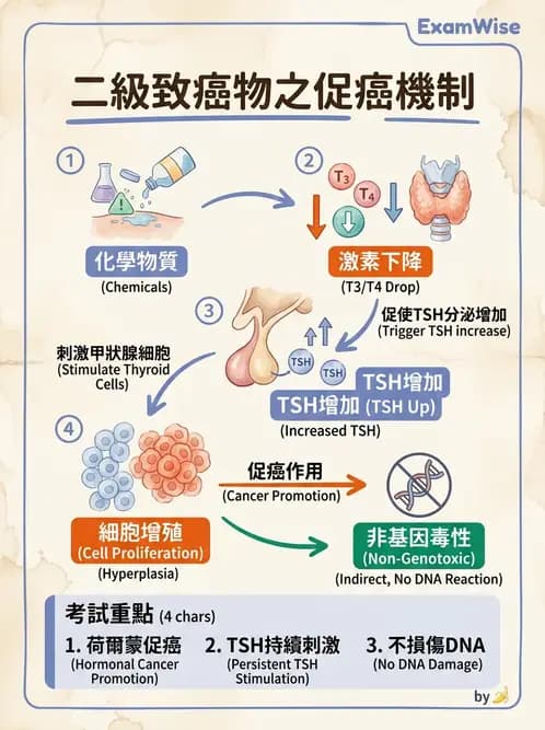 營養 - 食品安全性評估 - AI 圖文解析預覽