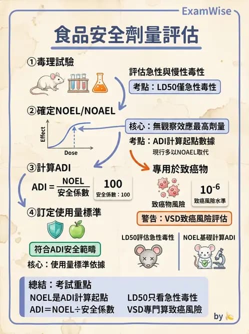 營養 - 食品安全性評估 - AI 圖文解析預覽