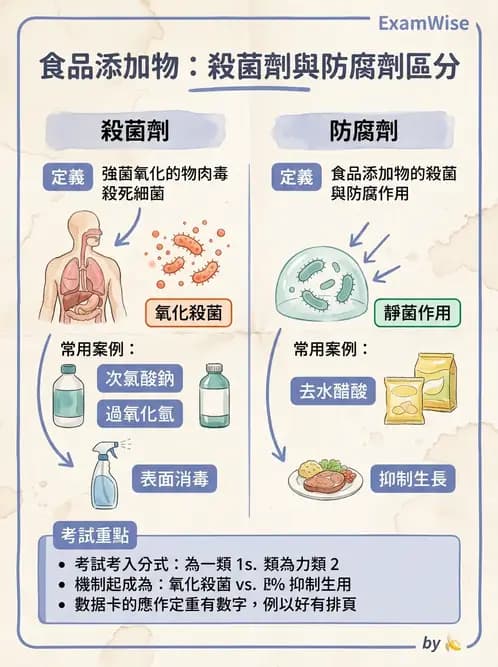 營養 - 食品添加物 - AI 圖文解析預覽