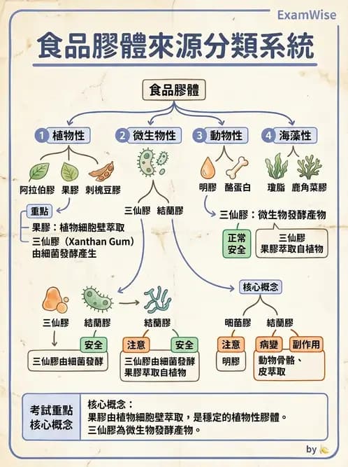 營養 - 食品添加物 - AI 圖文解析預覽