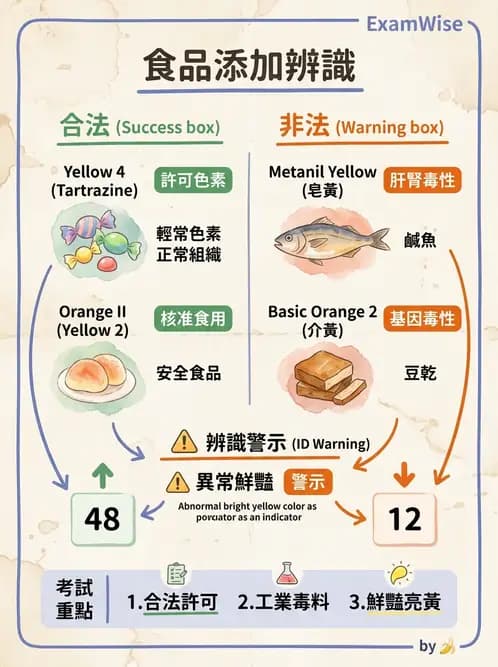 營養 - 食品添加物 - AI 圖文解析預覽