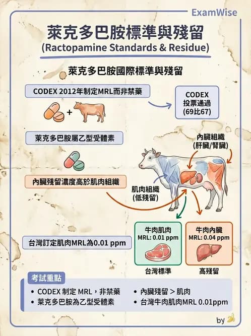 營養 - 化學性危害 - AI 圖文解析預覽