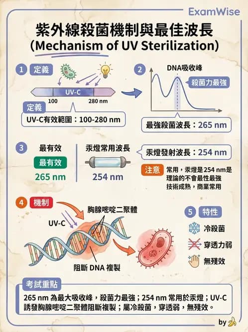 營養 - 食品腐敗微生物學 - AI 圖文解析預覽