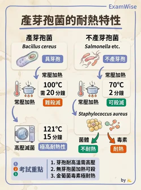 營養 - 食源性病原微生物 - AI 圖文解析預覽