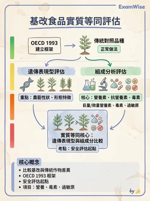 營養 - 食品安全性評估 - AI 圖文解析預覽