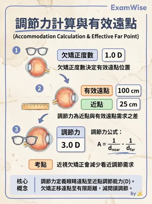 驗光師 - 調節機制與調節量計算 - AI 圖文解析預覽