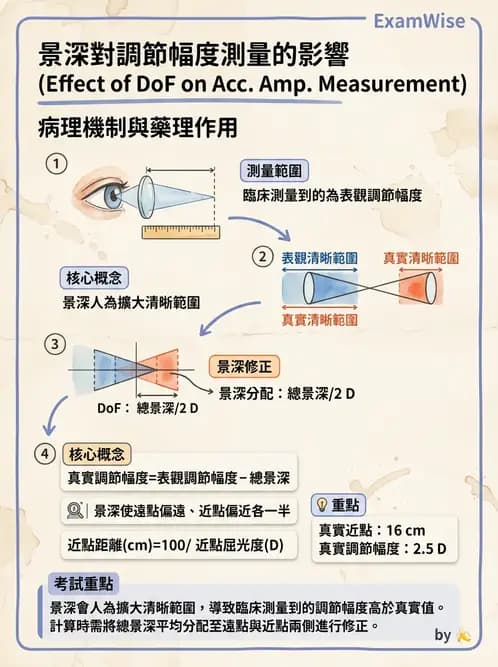 驗光師 - 景深、加入度與老花矯正 - AI 圖文解析預覽