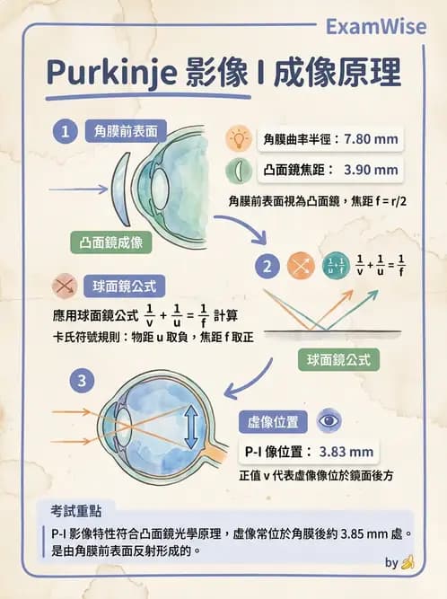 驗光師 - 眼球屈光系統基本原理 - AI 圖文解析預覽
