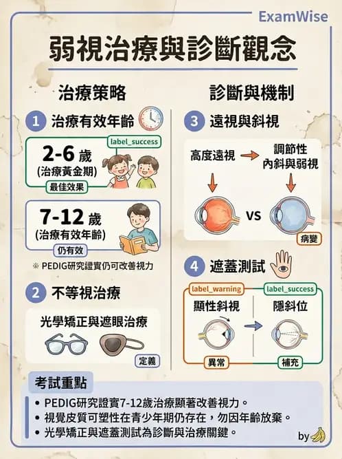 驗光師 - 弱視 - AI 圖文解析預覽