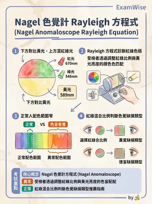 驗光師 - 對比敏感度與色覺檢查 - AI 圖文解析預覽