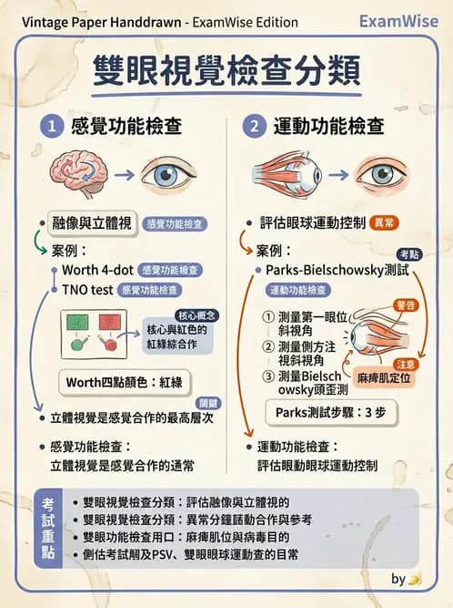 驗光師 - 調節功能與立體視融像評估 - AI 圖文解析預覽