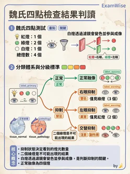 驗光師 - 調節功能與立體視融像評估 - AI 圖文解析預覽