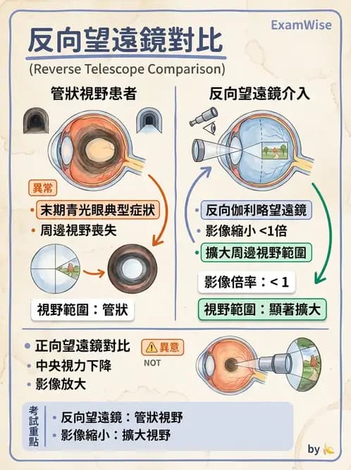驗光師 - 低視力輔具臨床應用與選配 - AI 圖文解析預覽