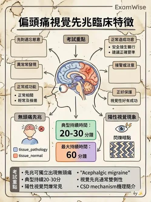 驗光師 - 斜弱視與神經眼科 - AI 圖文解析預覽