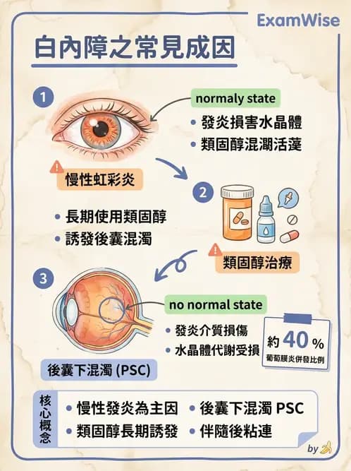驗光師 - 水晶體疾病 - AI 圖文解析預覽