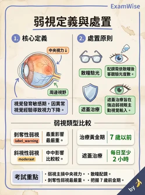 驗光師 - 斜弱視與神經眼科 - AI 圖文解析預覽