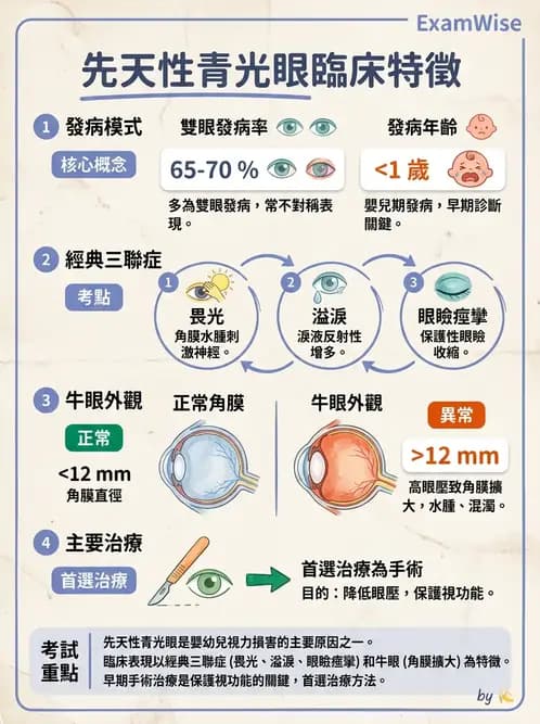 驗光師 - 青光眼分類、病因與危險因子 - AI 圖文解析預覽