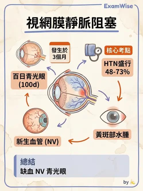 驗光師 - 血管阻塞、甲狀腺眼疾與其他全身性眼病變 - AI 圖文解析預覽