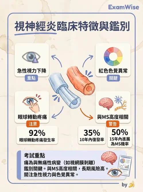 驗光師 - 斜弱視與神經眼科 - AI 圖文解析預覽
