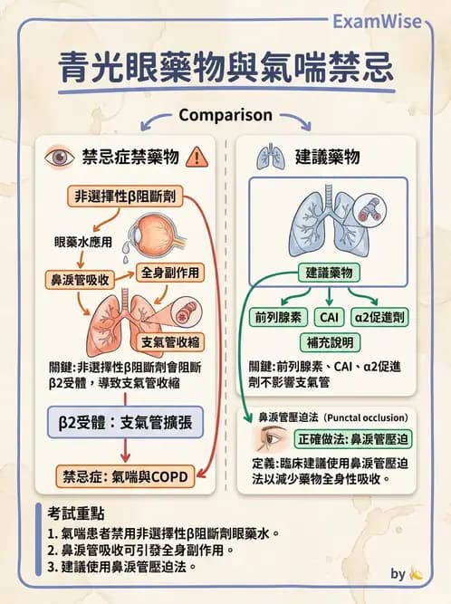 驗光師 - 青光眼診斷與治療 - AI 圖文解析預覽