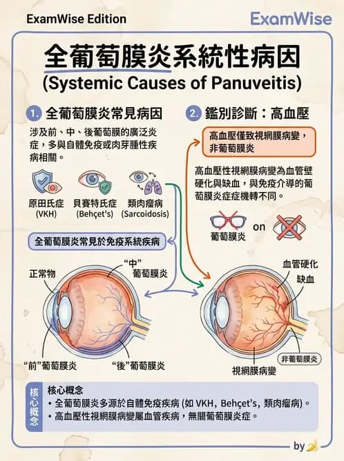 驗光師 - 葡萄膜炎與免疫相關眼病變 - AI 圖文解析預覽