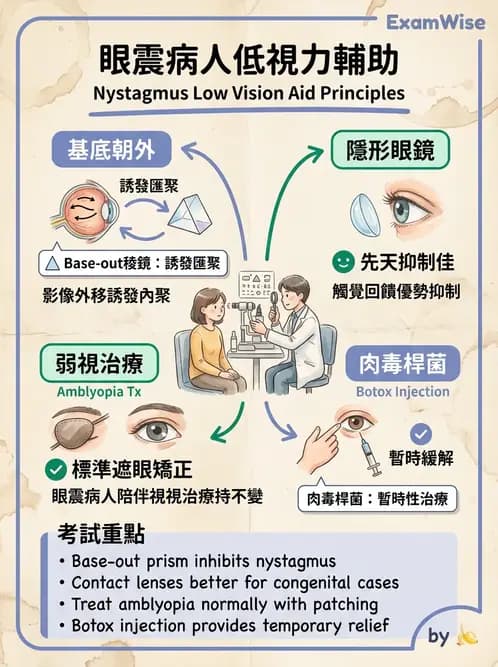 驗光師 - 低視力復健與心理適應 - AI 圖文解析預覽