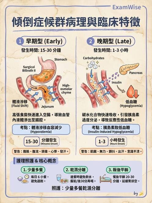 護理師 - 消化系統癌症護理 - AI 圖文解析預覽