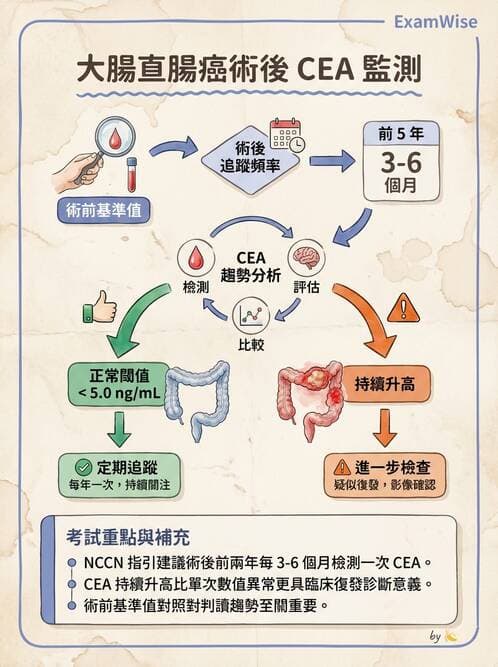 護理師 - 消化系統癌症護理 - AI 圖文解析預覽