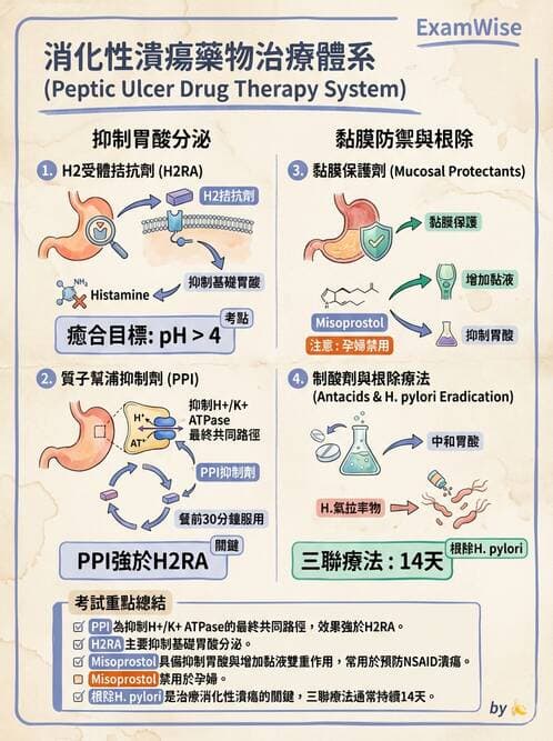護理師 - 上消化道疾病 - AI 圖文解析預覽