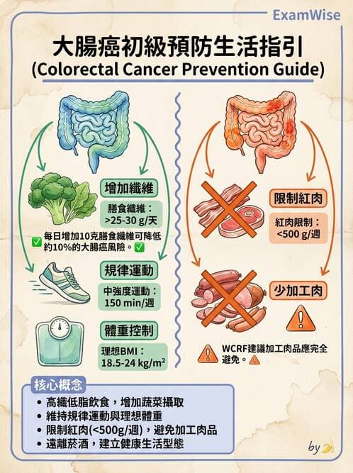 護理師 - 消化系統癌症護理 - AI 圖文解析預覽